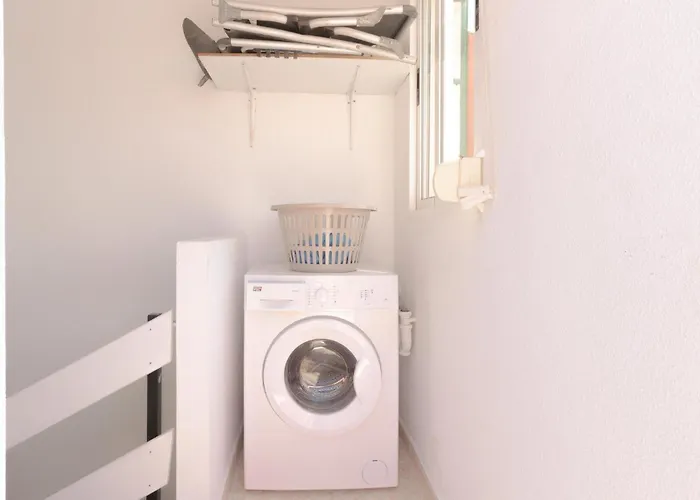 Pet Friendly In * Torrevieja
